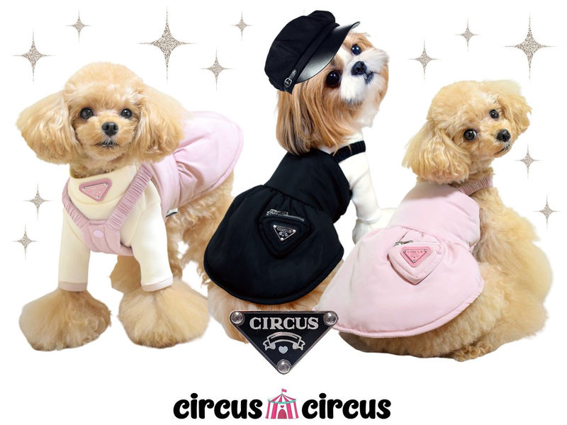 楽天市場】[サイズ:XXS〜S]Chic Padding OP circus circus サーカス
