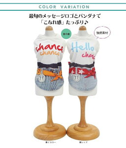 N[×N[vX ^N}^i2Fj12246hbOEFA ybgpi  킢@Coo Couture@N[N`[@N[H@h@UVJbg@Rہ@L@ْ̍f@{@