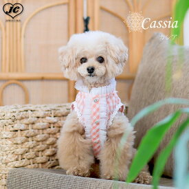 [サイズ:SS/S/SM/M]カシア（Cassia）　Glamourism　グラマーイズム　背中には繊細なアイラッシュレースとギャザーシフォンを重ねたデザイン　一枚で存在感のあるスタイリング　犬　服　ドッグウェア　犬用品　犬用　超小型犬　小型犬　中型犬