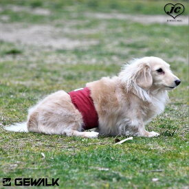 [サイズ:XL/XXL]マナーベルト　エコ　GEWALK　ジ・ウォーク　リサイクルファブリック　サステナブルコンセプト　男の子のマーキング防止　ズレにくい　フィット性　小型犬　中型犬　大型犬