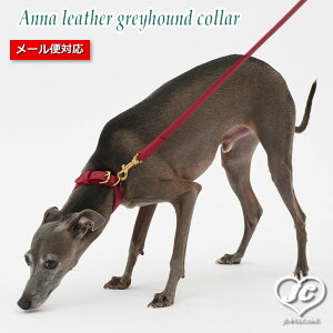 【送料無料】Annaleathergreyhoundcollar【size:3/3.5】アンナ・レザー・グレイハウンド・カラー【サイズ:3/3.5】DaVinciダヴィンチイタリア製ペットペット用品犬用品小型犬中型犬大型犬首輪