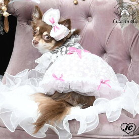 [サイズ:SS/S/M/L]ノーブルレースワンピース　LUXEBIRDIE　リュクスバーディ　透明感のあるワンピース　刺繍レース　ラメチュールのペチコート　上質なベルベットのリボン　　犬　犬用品　犬服　ドッグウェア　小型犬　中型犬