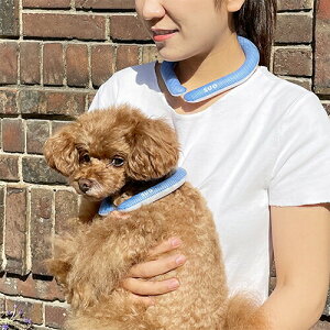 1~2���ȓ������I[�T�C�Y:S]�ySUO�z�{�^���Ȃ� SUO for dogs 28°ICE_COOL RING�i�X�I 28°�A�C�X�N�[�������O�j���S10�F���@SUO�@�X�I�@�����΍�@28���œ���@�₦�����Ȃ��@�Ђ��芴�����@�J��Ԃ�