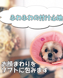 楽天市場】1～2日以内発送！【Asobolabo】（アソボラボ