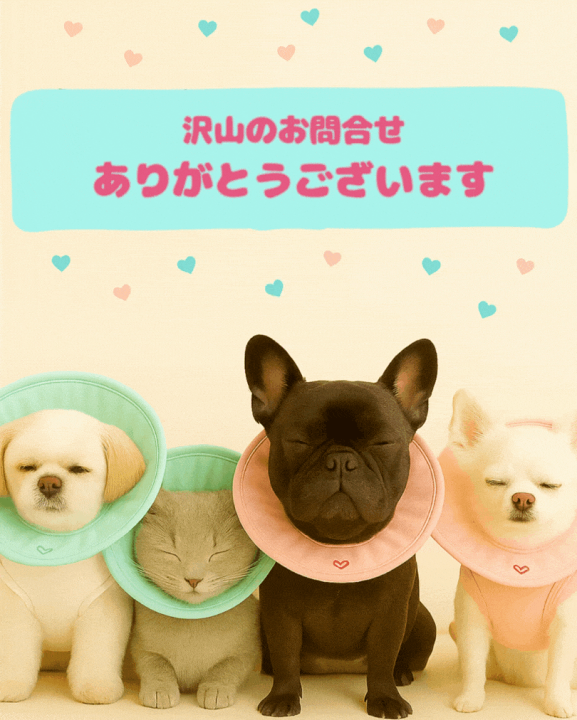 楽天市場】＼即日発送／ 【ロングタイプ 】メール便 送料無料 （EP