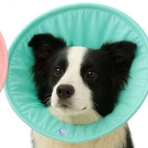 _30%OFFN[|^GUxXJ[ XLTCY (EP-STXL)y^@傫TCYz yGUxXJ[z \tg L  p Lp\tgGUxX veN^[ GJ J[ _炩 