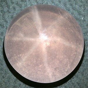 y77̒a΁zX^[[YNH[c  [X 12D55CT