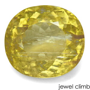 y10̒a΁zCG[g}  [X 7D53CT