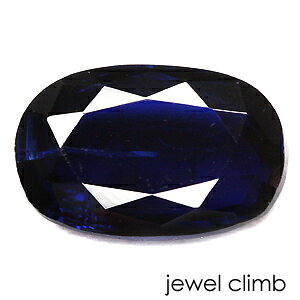 y1019̒a΁zJCiCg  [X 2D24CT