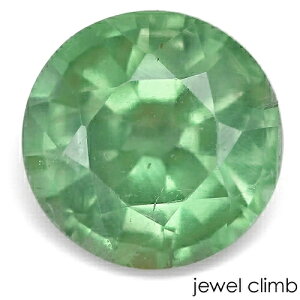 �y21���܂�Xmas����E���I20��OFF+�y�V�|�C���g�z�O���[���J�C���i�C�g ��� ���[�X 1�D63CT