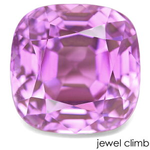 �y21���܂�Xmas����E���I20��OFF+�y�V�|�C���g�z�N���c�@�C�g ��� ���[�X 14�D48CT