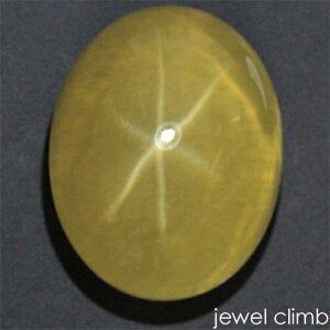 y11/30܂ŐV׉iύXznj[CG[X^[NH[c  [X 72D72CT