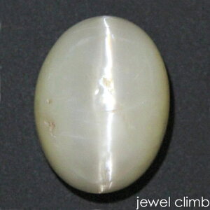 y10̒a΁zIp[LbcAC  [X 5D84CT