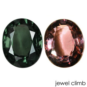 �y���̉��i�őI�ׂ�̂́A21���܂ŁB�z�J���[�`�F���W �K�[�l�b�g ��� ���[�X 0�D58CT