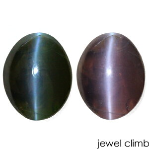 y21܂XmasEI20OFF+yV|CgzALThCgLbcAC  [X 1D12CT