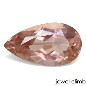 y21܂XmasEI20OFF+yV|CgzJVXuEAp^Cg  [X 1D89CT