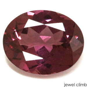 y12/15܂ŐV׉iύXzO[vK[lbg  [X 3D02CT