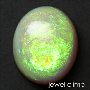 y10̒a΁zCgIp[  [X 3D13CT