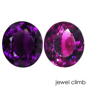 y11/30܂ŐV׉iύXzEOACJ[`FWAVXgiAWXgj  [X 16D71CT