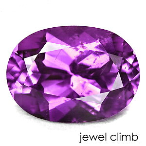 y21܂XmasEI20OFF+yV|CgzMoCIbgTt@CA  [X 1D17CT