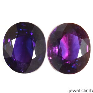 y21܂XmasEI20OFF+yV|CgzMJ[`FWTt@CA  [X 2D05CT