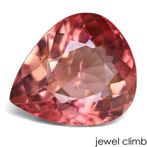 y10̒a΁z}WJsNg}  [X 2D30CT