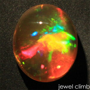 y21܂XmasEI20OFF+yV|CgzIp[LbcAC  [X 1D83CT