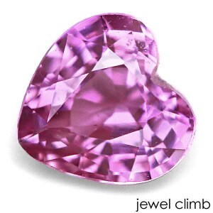 y21܂XmasEI20OFF+yV|CgzsNTt@CA  [X 0D28CT