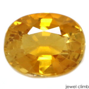 y10̒a΁zS[fg}  [X 1D17CT