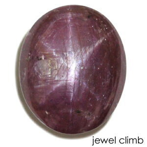 y9̒a΁zoCIbgX^[Tt@CA  [X 20D84CT