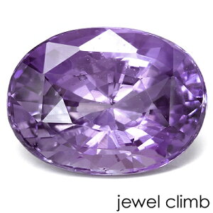 y21܂XmasEI20OFF+yV|CgzMoCIbgTt@CA  [X 3D58CT