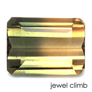 y21܂XmasEI20OFF+yV|CgzoCJ[Tt@CA  [X 1D32CT