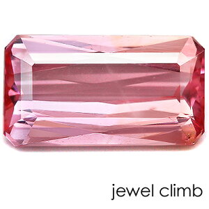 y21܂XmasEI20OFF+yV|CgzpXesNTt@CA  [X 0D83CT