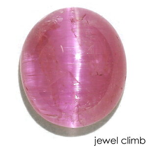 y21܂XmasEI20OFF+yV|CgzYxiycHb^CgjLbcAC  [X 2D92CT