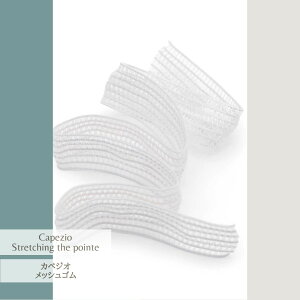 Capezio Bunheads owbY@Stretching the point bVSBH317-jw