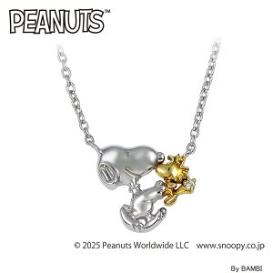 PEANUTS Xk[s[&EbhXgbN X}CnO y_g