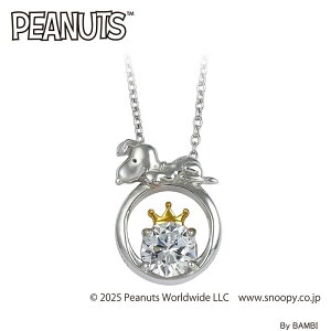 Xk[s[ Vo[ NE y_gzCg LN^[ WG[ ANZT[ 75NLO l ObY av[g v[g Mtg bsO 