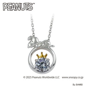 Xk[s[ NE y_g x_[ LN^[ WG[ ANZT[ 75NLO ObY av[g v[g Mtg bsO 