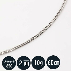 약 lbNX v`i Pt850 약lbNX (10g-60cm) (ǌ}[N) kihei ňl 