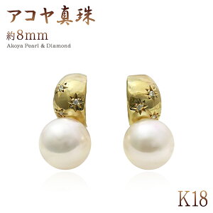 p[ sAX ^ _Ch 18 CG[S[h 18K ^ ӕʏt fB[X WG[  ANZT[    AR 6 4 a  X^[  K