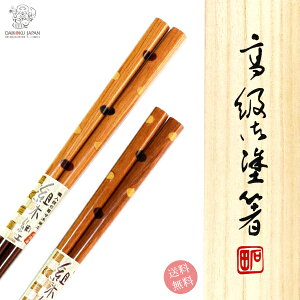 yvw gؔ ʁz yA p    킢 Zbg yA j  LO 蕨 җj a v[g IV ߂Ɣ j e