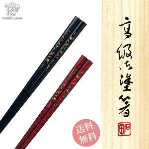 vw ђ yA    킢 Zbg yA j  LO 蕨 җj a v[g IV ߂Ɣ j e