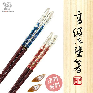 vw jg & uЂ炬2P yA    킢 Zbg yA j  LO 蕨 җj a v[g IV ߂Ɣ j e