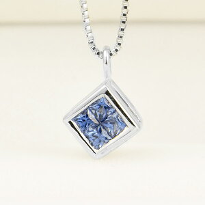 Tt@CA _Ch lbNX K18 zCgS[h o[Vu ~Xe[ZbeBO ӕʏt ۏ؏t ig fC[ C|[g Mtg v[g a 9