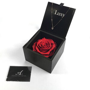 A[T/_Ch[Y{bNX 105@yMtgpzyҗjzyLOzy̓z