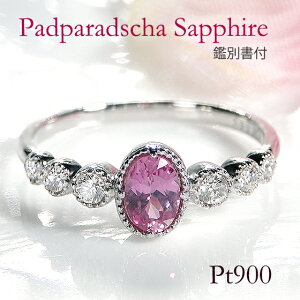 yӕʏzPt900 pp`ATt@CA _Ch Oyzy萔zyiۏ؏zw fB[X WG[ ꗱ v`i _C O I[oJbg 󏭐