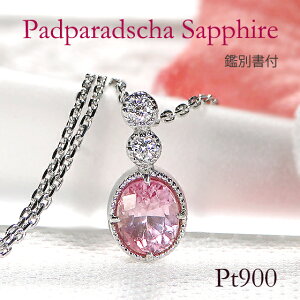 yӕʏtzPt900 pp`ATt@CA _Ch lbNXyzy萔zyiۏ؏zw fB[X WG[ ꗱ v`i y_g I[oJbg 