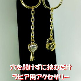 楽天市場 ピアス リング ラビア モチーフ鍵 その他 レディースジュエリー アクセサリー ジュエリー アクセサリーの通販