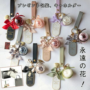 �v���U�[�u�h�t�����[ �u���U�[�h�t�����[ �A�N���� �P�[�X �� ���� �� �c�� ���F�B ������� ���� ���ʉ� �����j�� �����L�O�� �� �������� �͂�Ȃ��� ��̓� �N���X�}�X �a����