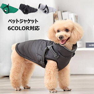  WPbg  h ̌^  xXg ȕR[g L ^ ^ EȒP H ~ U _ExXg ybg n[lX R[g hbOEFA m AE^[ g {A